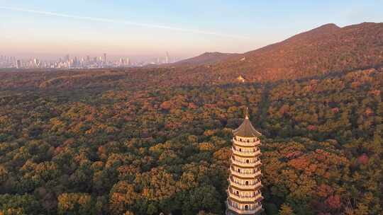 南京 灵谷塔 秋景 南京秋天 秋色 历史建筑