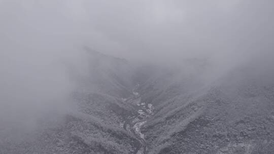 DJI航拍新农村绿色生态茶园-农家小院-茶厂