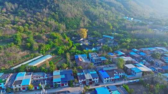 西安古观音禅寺千年银杏树