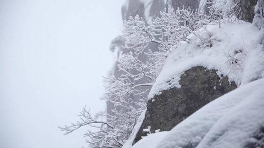 黄山 雪景 雾凇视频素材模板下载