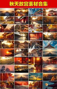 北京故宫秋日故宫金色光影故宫夕阳落日剪影高清在线视频素材下载