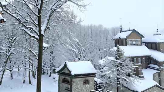 雪中的特色建筑与树木景致