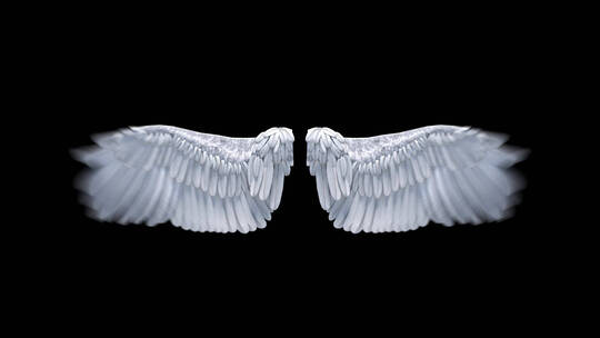 圣洁的天使白色羽毛翅膀特效合成