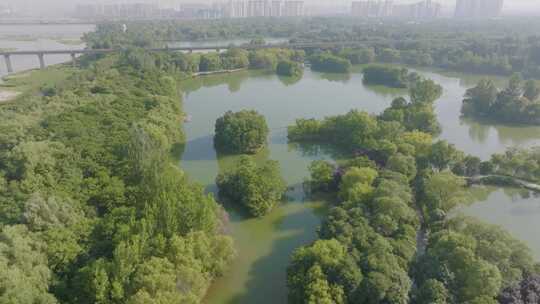 浐灞国家湿地公园视频素材模板下载