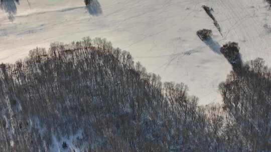 五大连池冬季雪原航拍