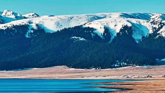 航拍雪山森林湖泊大自然风景