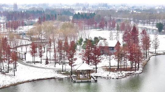 航拍北湖湿地公园园林雪景空镜