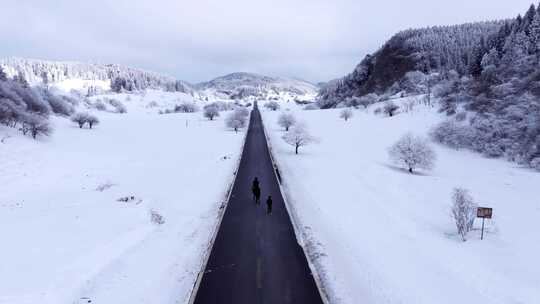 重庆武隆仙女山雪景骑马