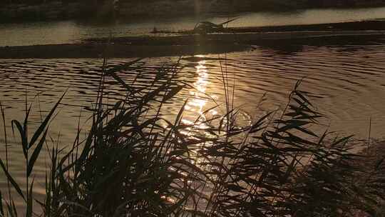 湖面夕阳水波荡漾唯美实拍