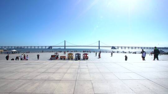 大连星海广场 海鸥  跨海大桥 大连海边视频素材模板下载