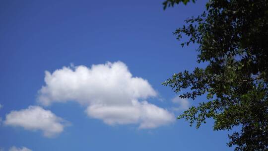 夏天的感觉蓝天白云小清新天空