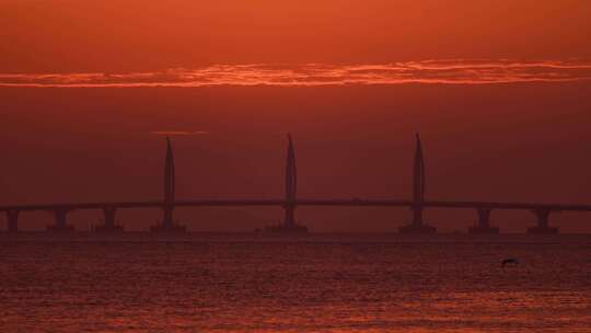 珠海海豚湾大桥日升4k