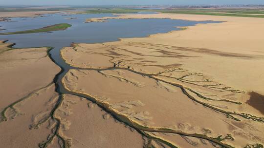 航拍鄱阳湖枯水期沙洲上自然形成的生命之树