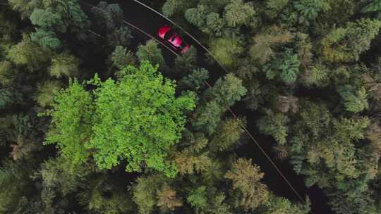 原始森林汽车跟拍 汽车航拍 红色轿车航拍