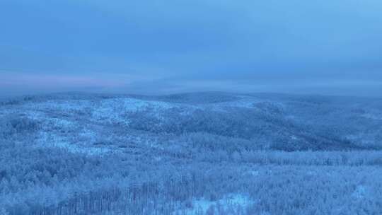 航拍大兴安岭黎明林海雪原