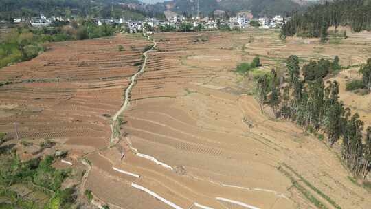 云南山区农业种植耕地航拍