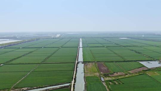 中国乡村农业经济发展大型农场种植地