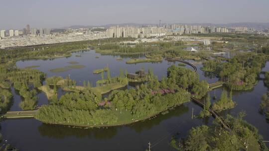 航拍昆明呈贡斗南湿地公园