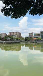 深圳市沙井壆岗公园湖景