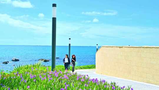 海南三亚天空海洋椰林鲜花小道唯美慢镜头