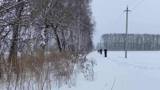 冬季森林冰雪滑雪运动的人