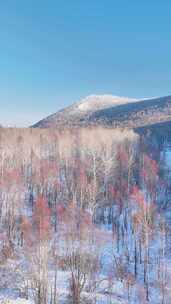 4K竖屏航拍林海雪原雪雾凇红柳-4