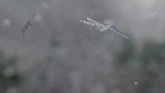 雪花演变过程下雪各种雪花类型三维动画视频素材模板下载