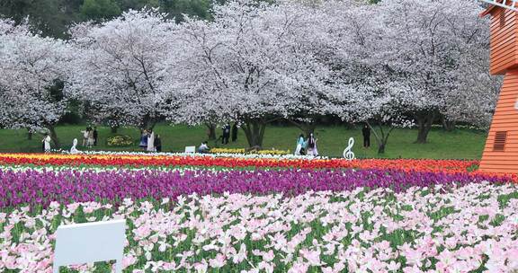 春天公园春暖花开