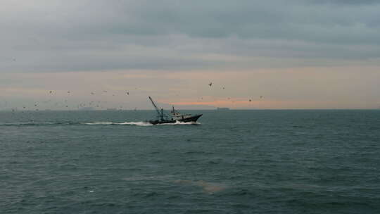 黄昏的海鸥与渔船