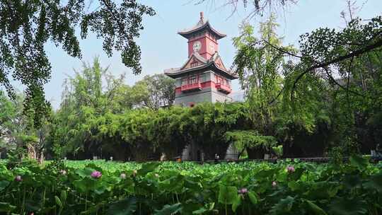 华西医学院 钟楼 成都