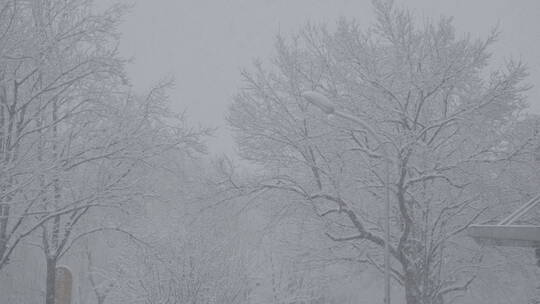 城市雪景 冬天下雪