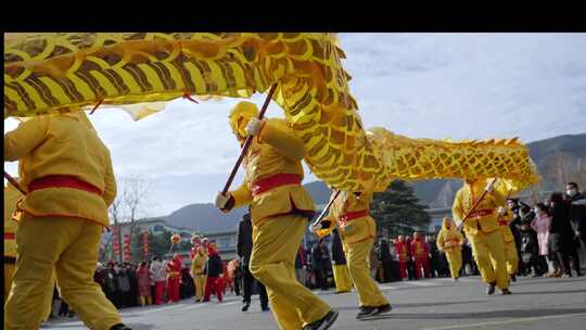 新年节日庆祝舞龙 合集