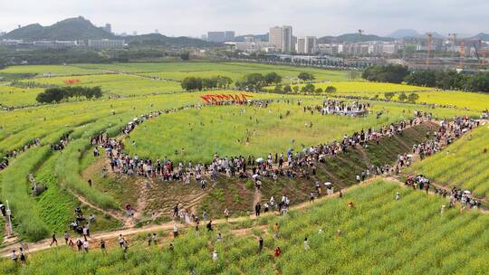 油菜花地高铁航拍