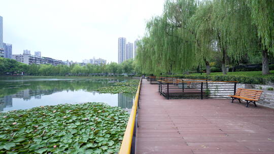 武汉汉口宝岛公园风景