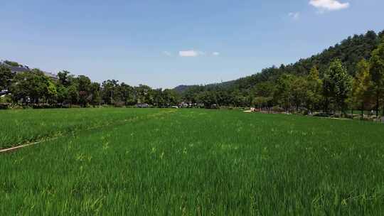 湖南韶山冲毛主席故居附近山村