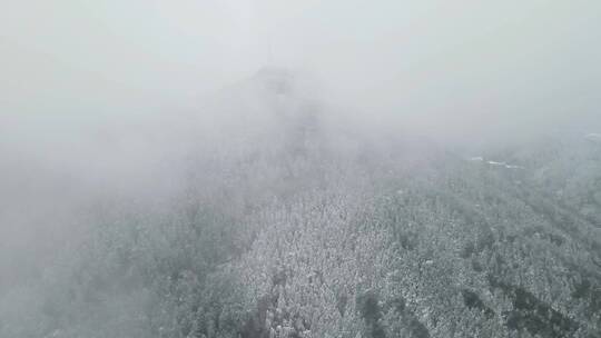 航拍南方森林冬天雪景