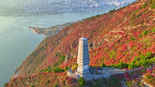 三峡红叶