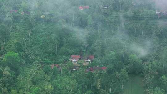 印尼热带雨林中云雾缭绕的山村