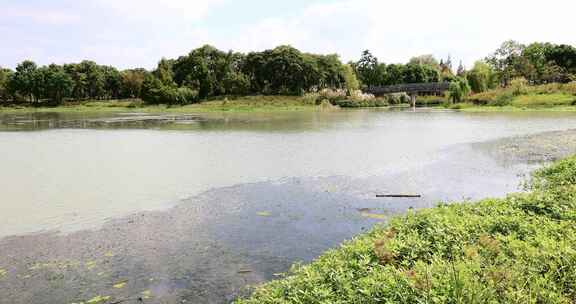 美丽无锡贡湖湾太湖湿地生态风光