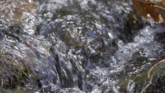 清澈的溪流水源慢镜头视频素材模板下载
