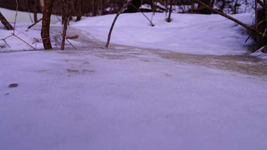 冰锥 冰瀑 冰雪 冬季 寒冷 结冰