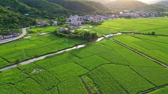 俯瞰乡村田野风光