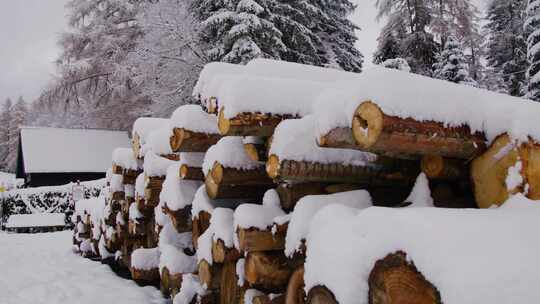 原木，雪，冰冻，冬季