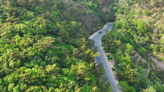 汽车行驶在公路 滨海公路汽车行驶 滨海路