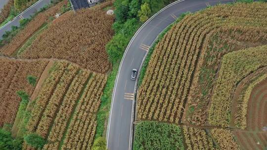 湖北宜昌长阳县乡村梯田盘山公路风光