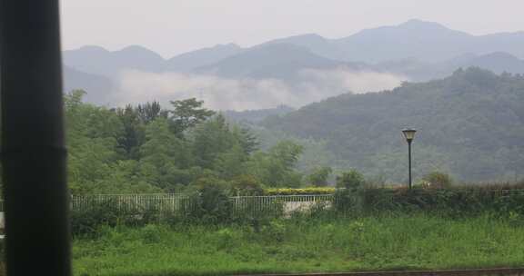 绿色山林森林竹海云海云雾安徽山区远景特写