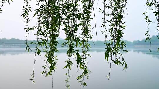 北京春天北海公园早晨湖面晨雾倒影风光