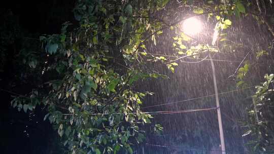 大雨的夜晚路灯树下照亮的雨丝