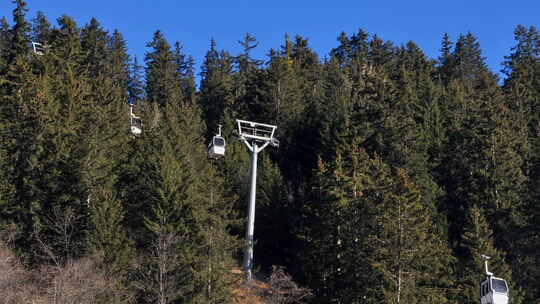 气泡滑雪缆车穿过法国阿尔卑斯山森林缝隙的时间流逝