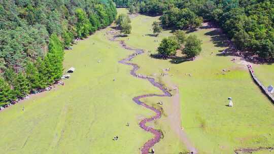黑龙江伊春飞鹤金山鹿苑风景航拍